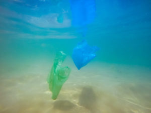 Plastikabfall verschmutzt die Weltmeere, UN reglementiert Plastikmüll Exporte